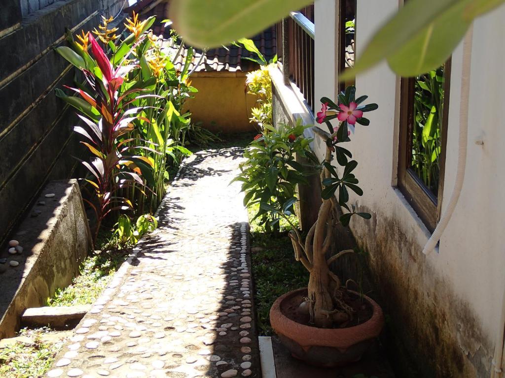 Titi Sedana Homestay Αμέντ Δωμάτιο φωτογραφία